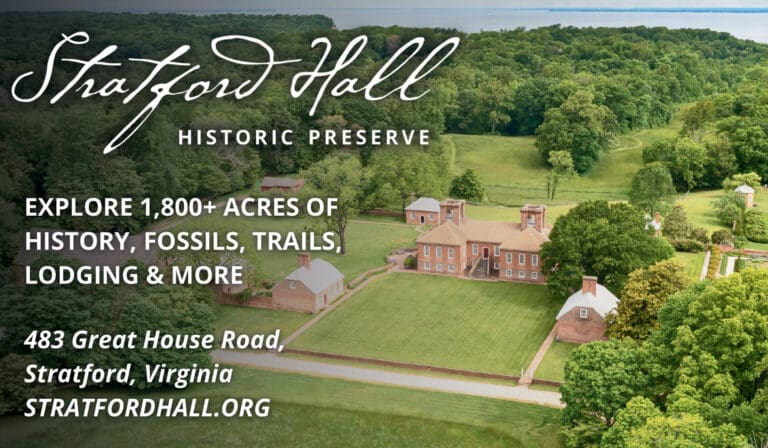 WB26 STRATFORD HALL HERO 768x448